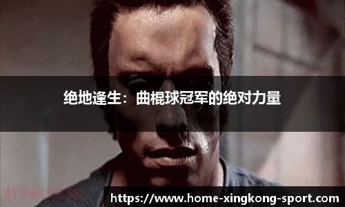 星空体育官方网站