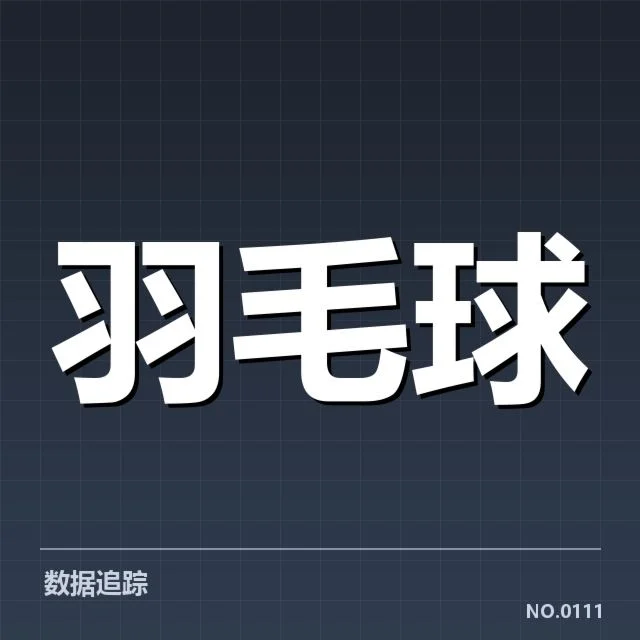 羽毛球公开赛中已确认的伤病名单